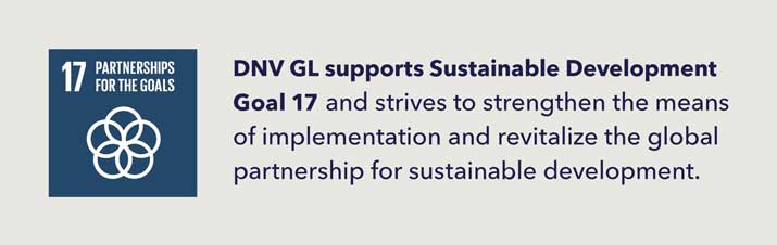 SDG17